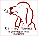 Canine Flu TCAH LOGO