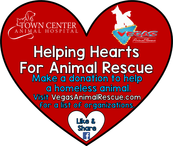 helping hearts animal rescue