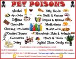 Pet Poisons - Updated Feb 28th 2015