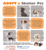TCAH DVM - Adopt A Shelter Pet