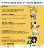 TCAH DVM - Bloat Twisted Stomach