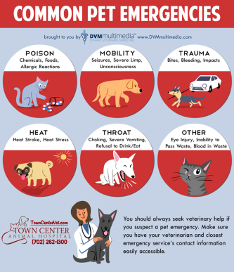 TCAH DVM - Common Pet Emergencies