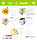 TCAH DVM - Feline Health