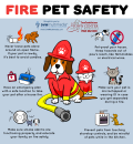 TCAH DVM - Fire Pet Safety