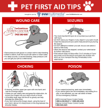 TCAH DVM - Pet First Aid