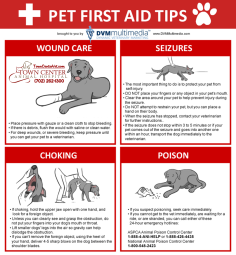 TCAH DVM - Pet First Aid