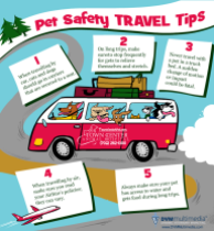 TCAH DVM - Pet Safety Travel Tips