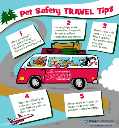 TCAH DVM - Pet Safety Travel Tips