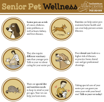 TCAH DVM - Senior Pet Wellness