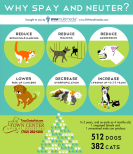 TCAH DVM - Why Spay and Neuter