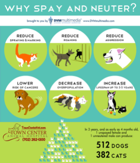 TCAH DVM - Why Spay and Neuter